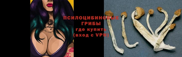 MESCALINE Абинск